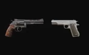 Magnum 1911 setup