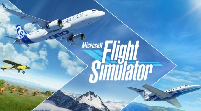 ‎Flight Simulator Patch