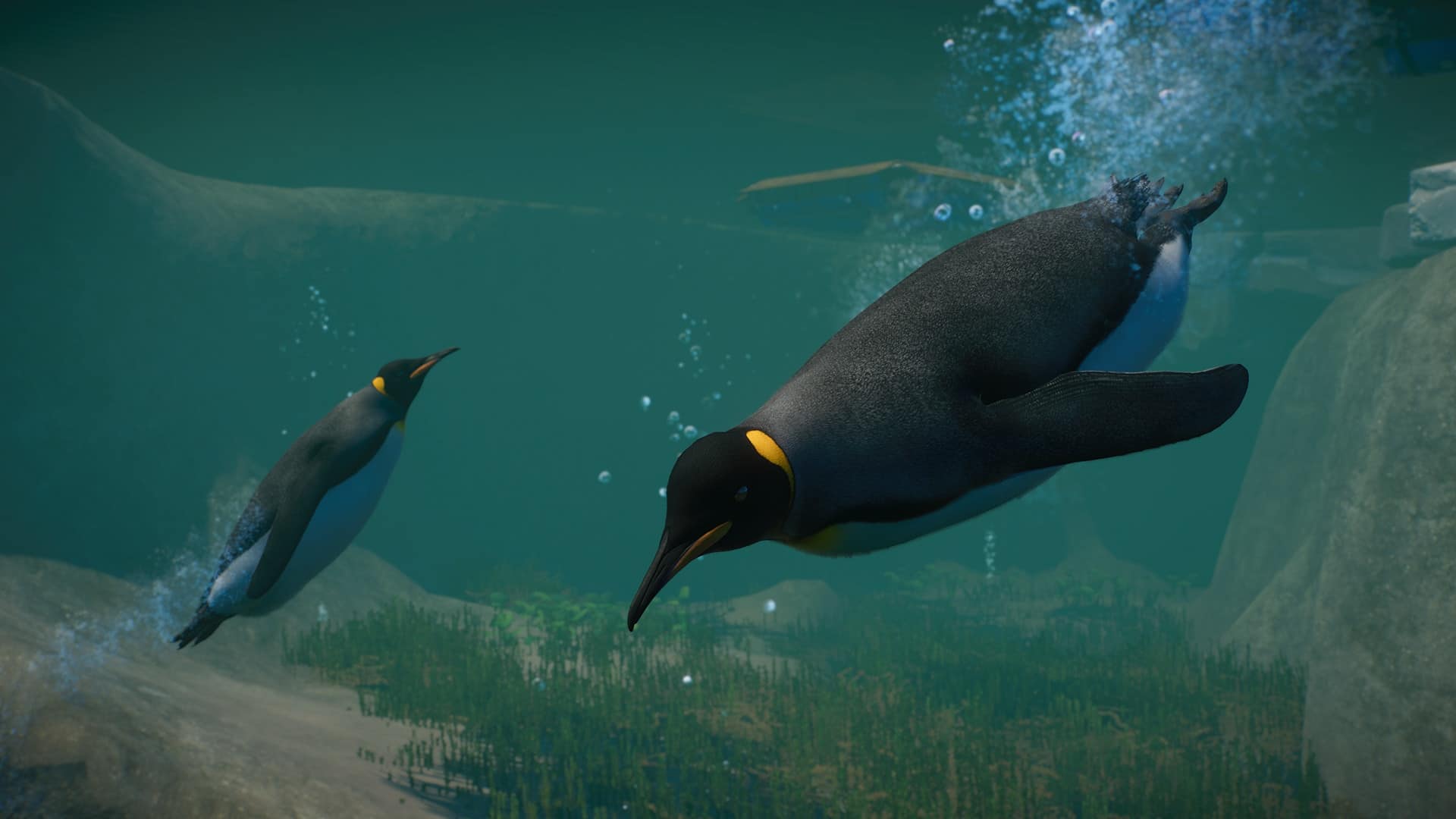 Many animal lovers wished for the Penguin as a zoo classic back at release, the Aquantic Pack now hands it down.