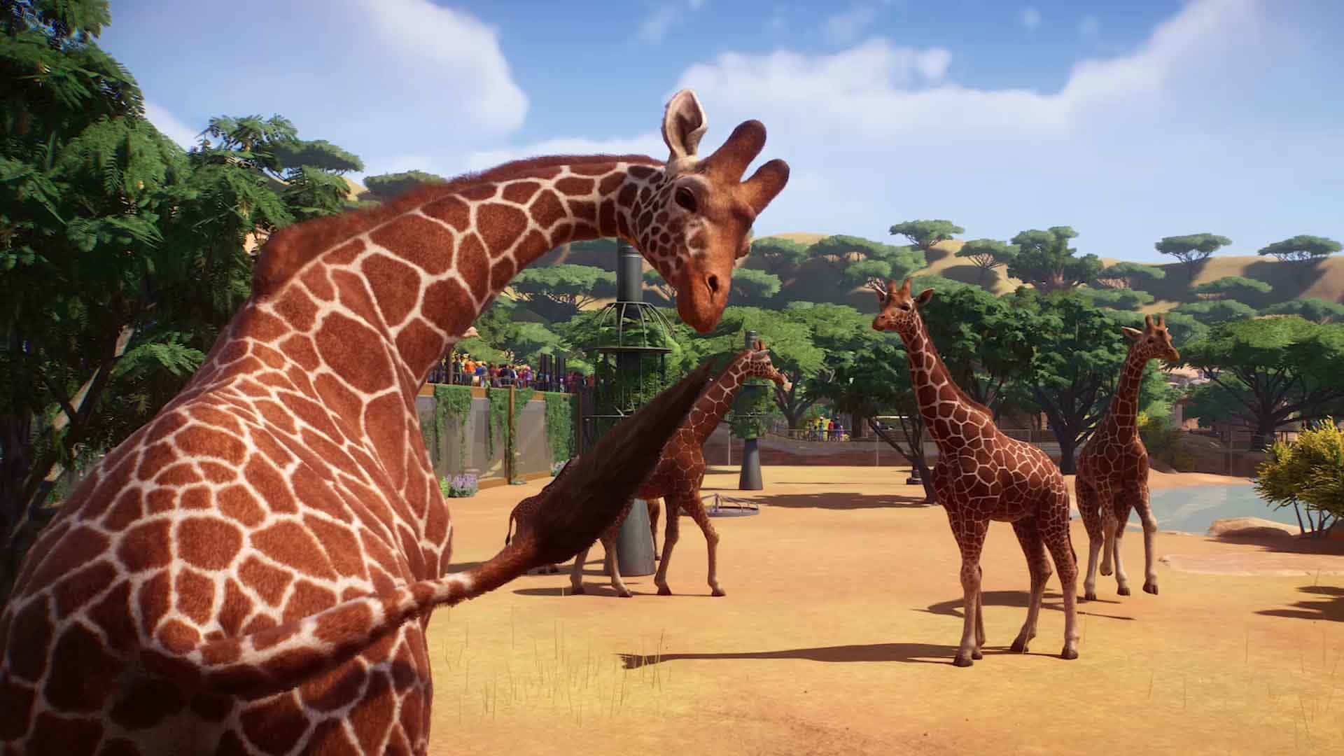 África oferece de longe a maior selecção dos animais mais exóticos possíveis e a girafa é um clássico do jardim zoológico