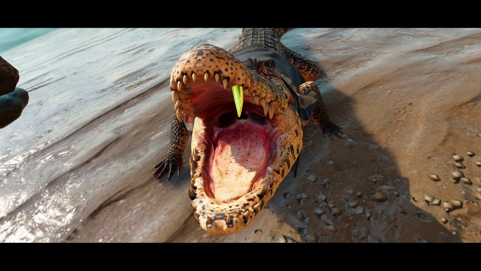 Talvez não o devesse fazer na vida real: Crocodilos de estimação - mesmo que sejam tão guapo como Guapo