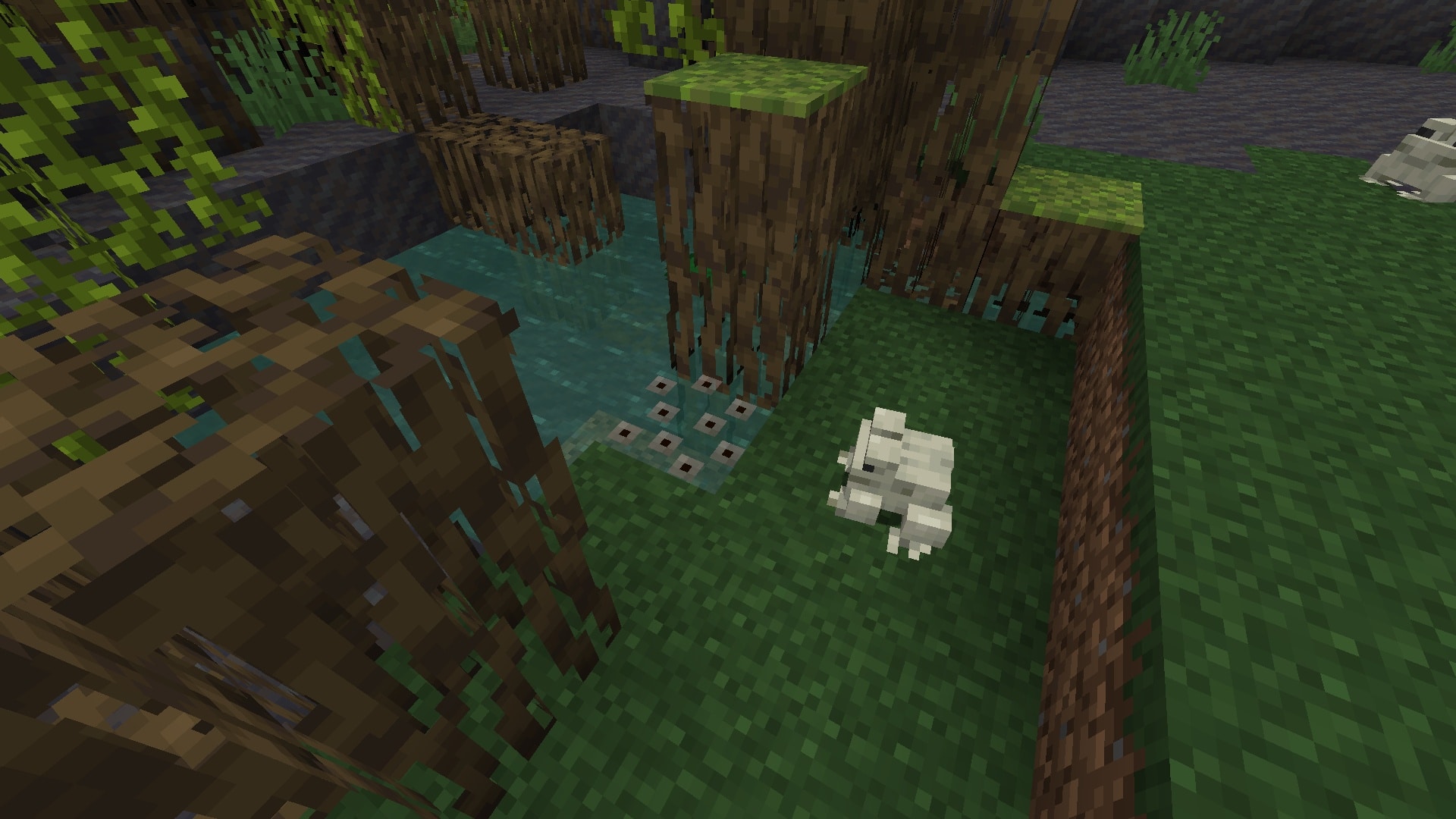(A frog has laid its spawn in this pond nice details like this add to the atmosphere)