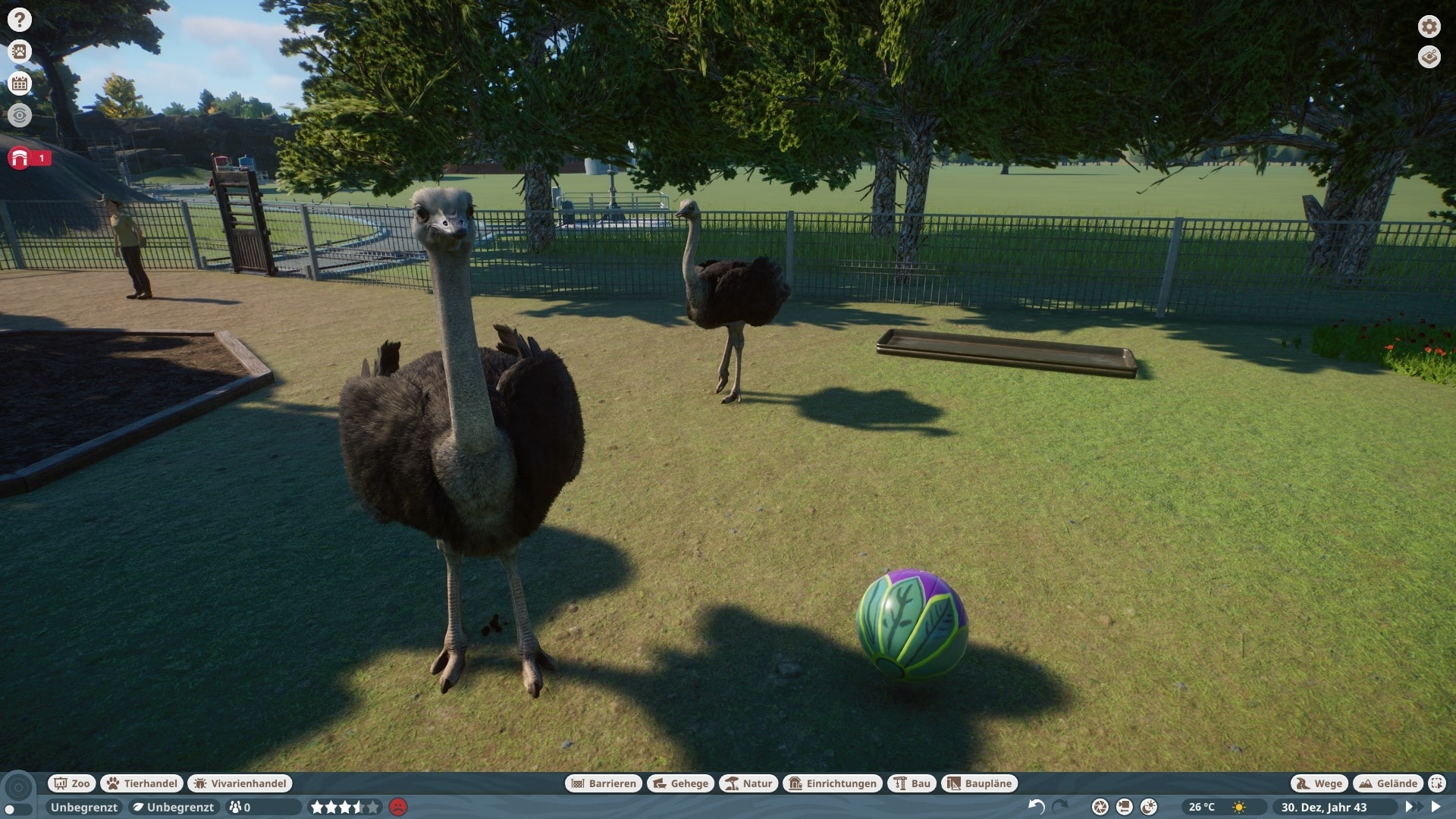 (Birds are still only available in the form of flightless animals. Even via DLC, no birdhouses were included.)