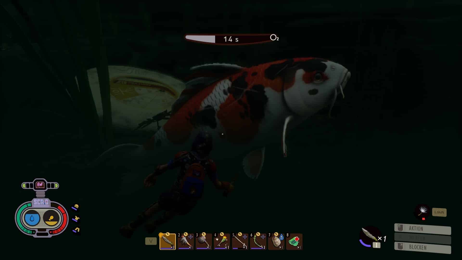 (Ikan mas koi ini agak terlalu besar untuk kami dan satu-satunya pilihan kami adalah melarikan diri, yang agak sulit di bawah air.)