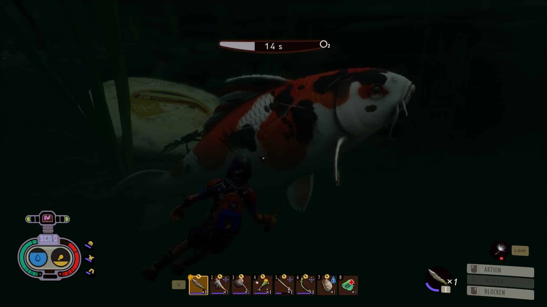 (This koi carp is a bit too big for us and our only option is to escape, which is a bit difficult under water.)