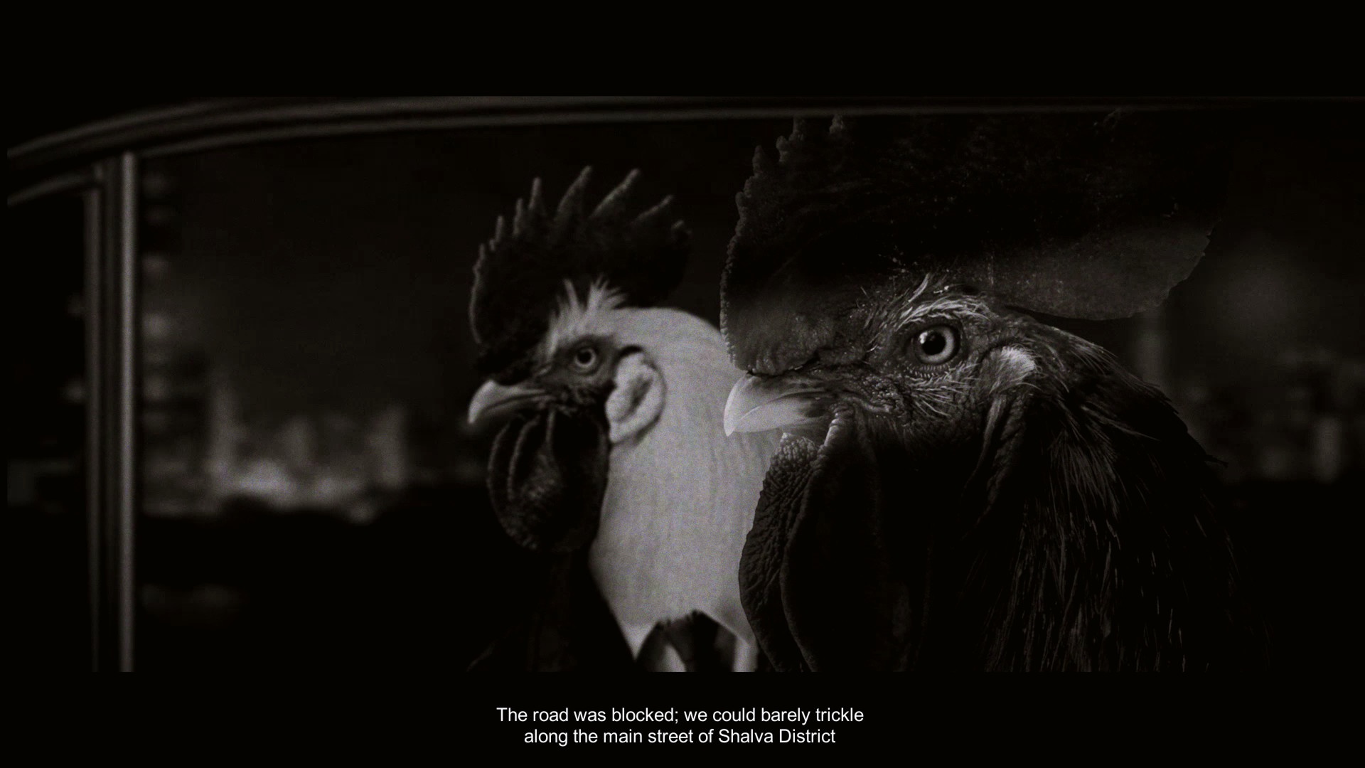 (Chicken Police) regorge d''allusions au film noir. Par exemple, le protagoniste Sunny partage aussi ses pensées avec nous en voix off)