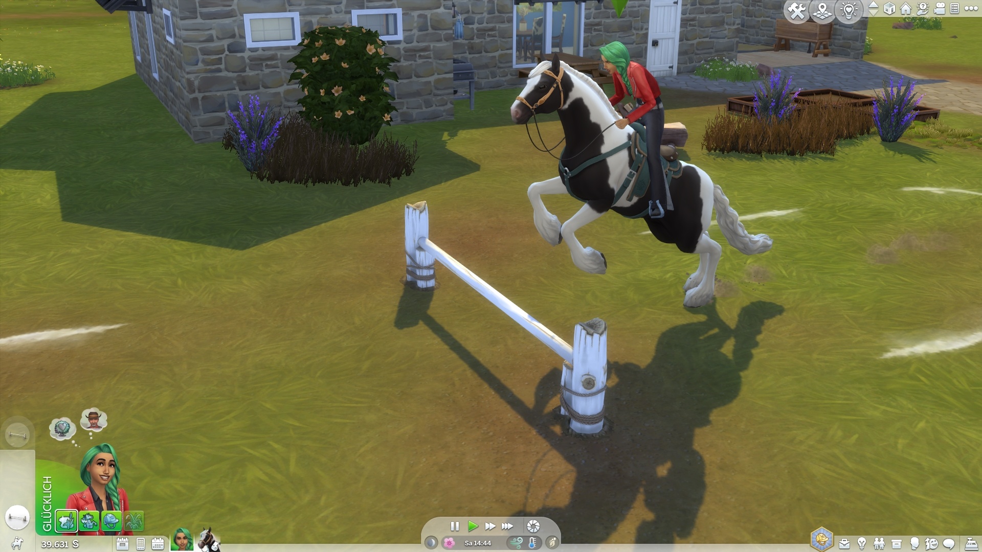 (Durante o treino de salto, o cavaleiro e o cavalo só se atrevem a saltar um obstáculo baixo no início)