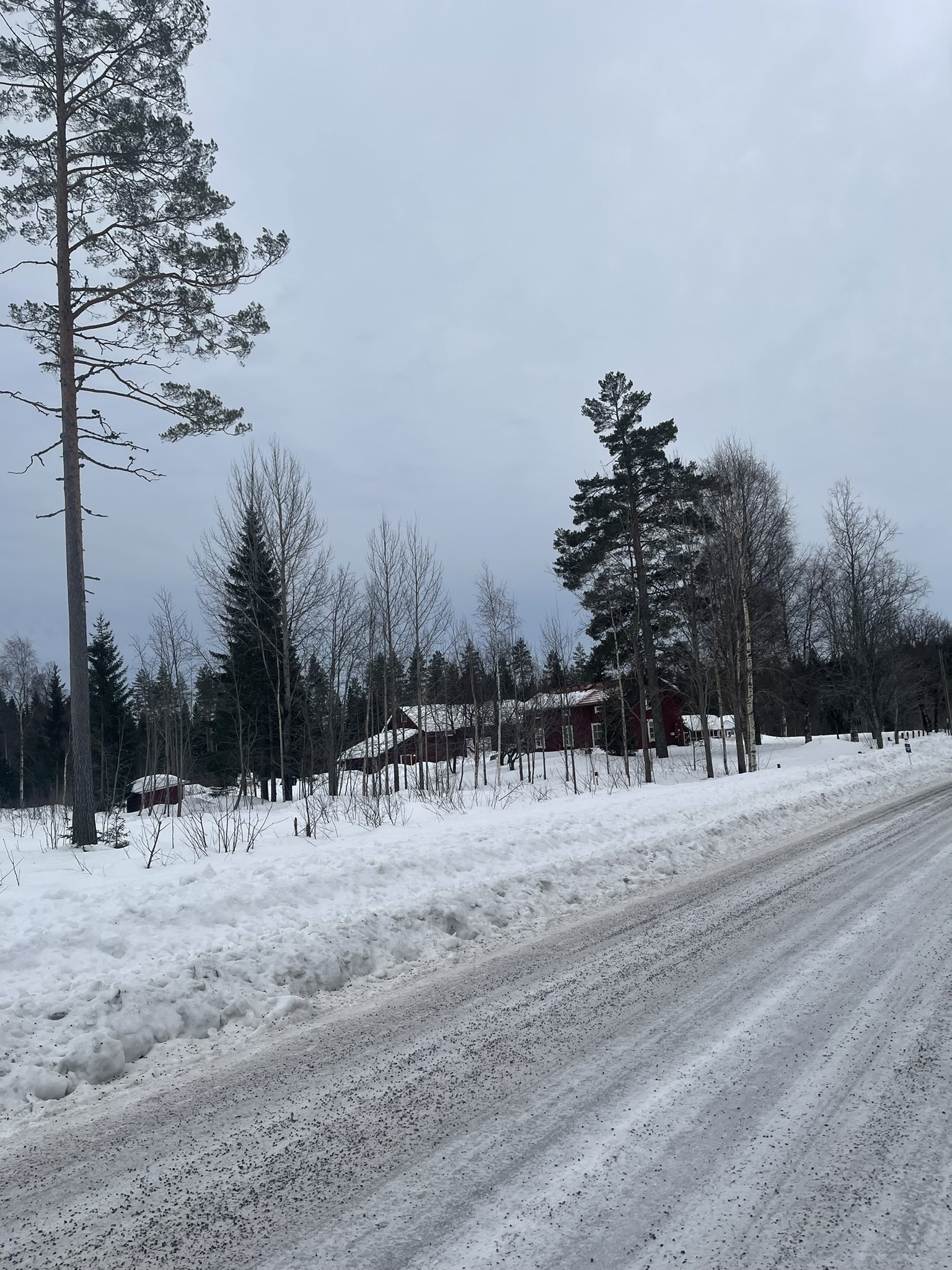 (Het Zweedse noorden was heel idyllisch. Totdat je de weg verlaat en het diepe bos in moet wandelen.)
